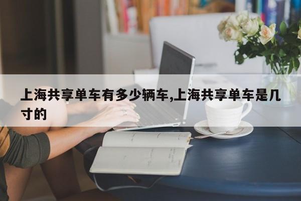 上海共享单车有多少辆车,上海共享单车是几寸的