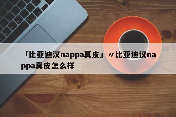 「比亚迪汉nappa真皮」〃比亚迪汉nappa真皮怎么样