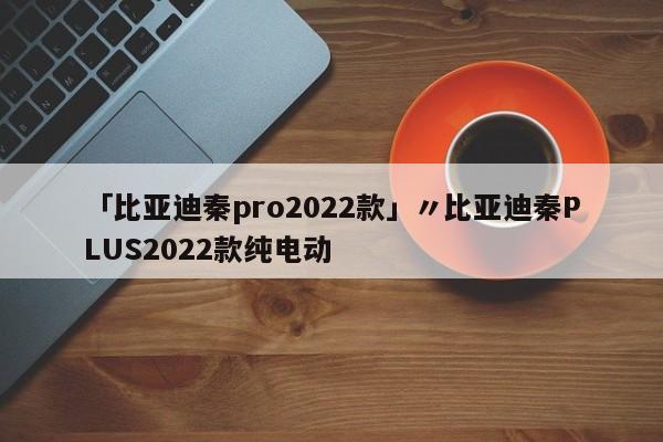 「比亚迪秦pro2022款」〃比亚迪秦PLUS2022款纯电动