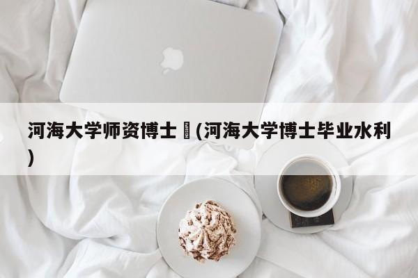 河海大学师资博士︰(河海大学博士毕业水利)