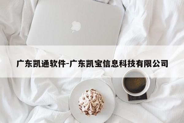 广东凯通软件-广东凯宝信息科技有限公司
