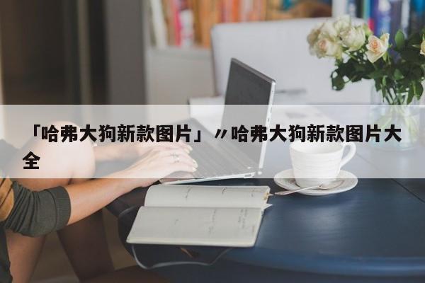 「哈弗大狗新款图片」〃哈弗大狗新款图片大全