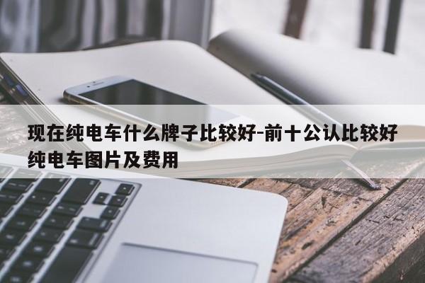 现在纯电车什么牌子比较好-前十公认比较好纯电车图片及费用