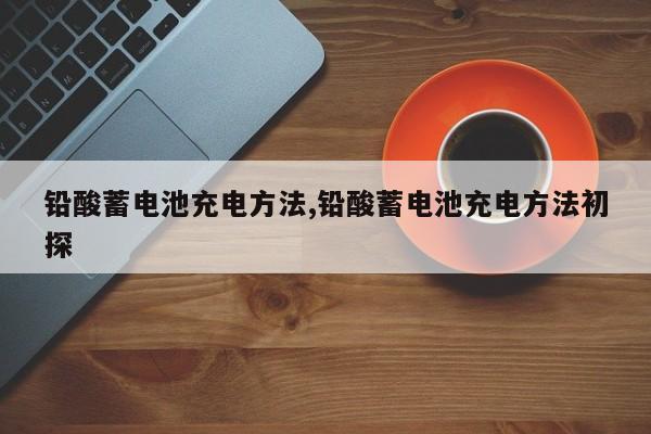 铅酸蓄电池充电方法,铅酸蓄电池充电方法初探
