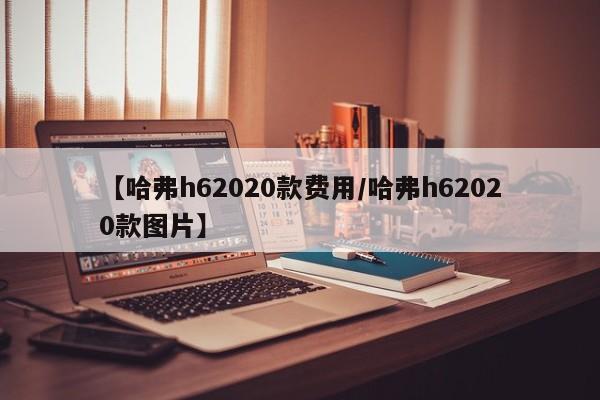 【哈弗h62020款费用/哈弗h62020款图片】