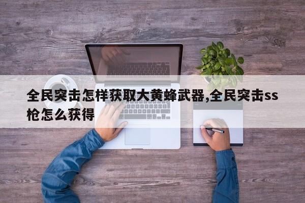 全民突击怎样获取大黄蜂武器,全民突击ss枪怎么获得