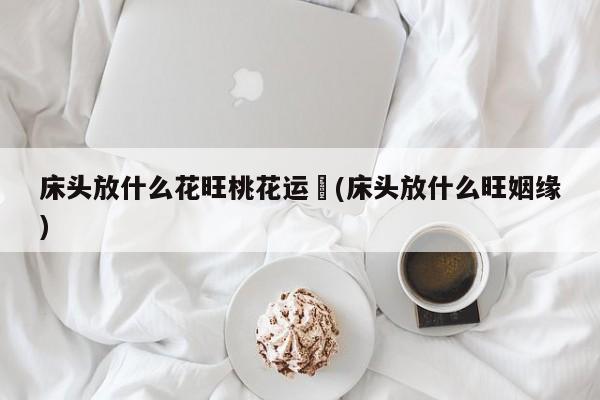 床头放什么花旺桃花运︰(床头放什么旺姻缘)