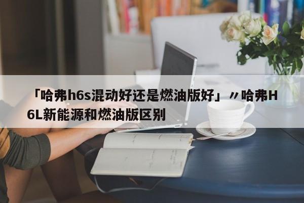 「哈弗h6s混动好还是燃油版好」〃哈弗H6L新能源和燃油版区别