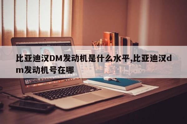 比亚迪汉DM发动机是什么水平,比亚迪汉dm发动机号在哪