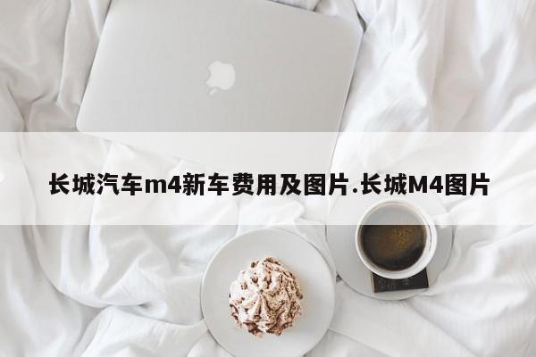 长城汽车m4新车费用及图片.长城M4图片